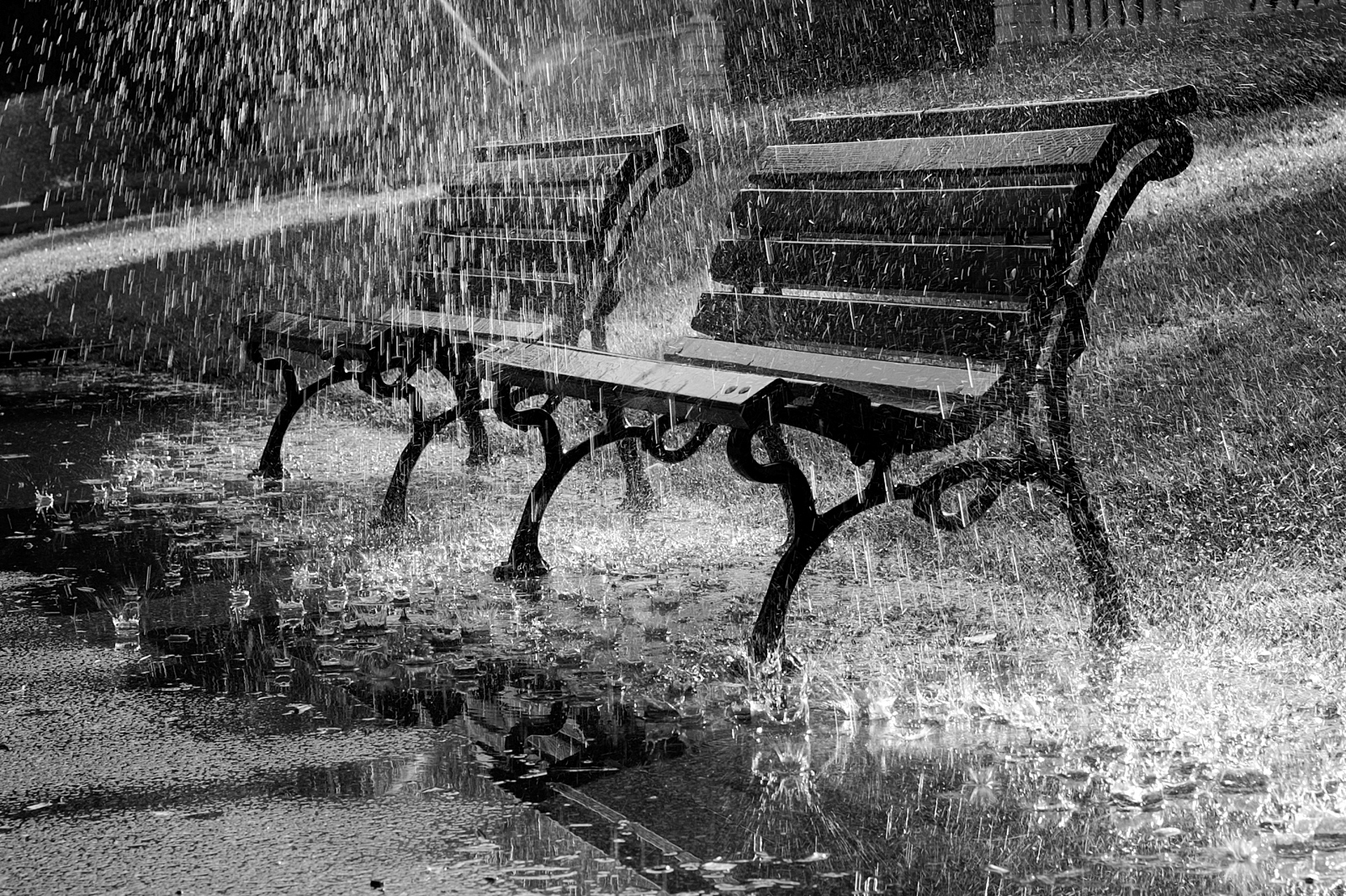 230 сигнала заради бурята в София