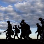 миграционна политика