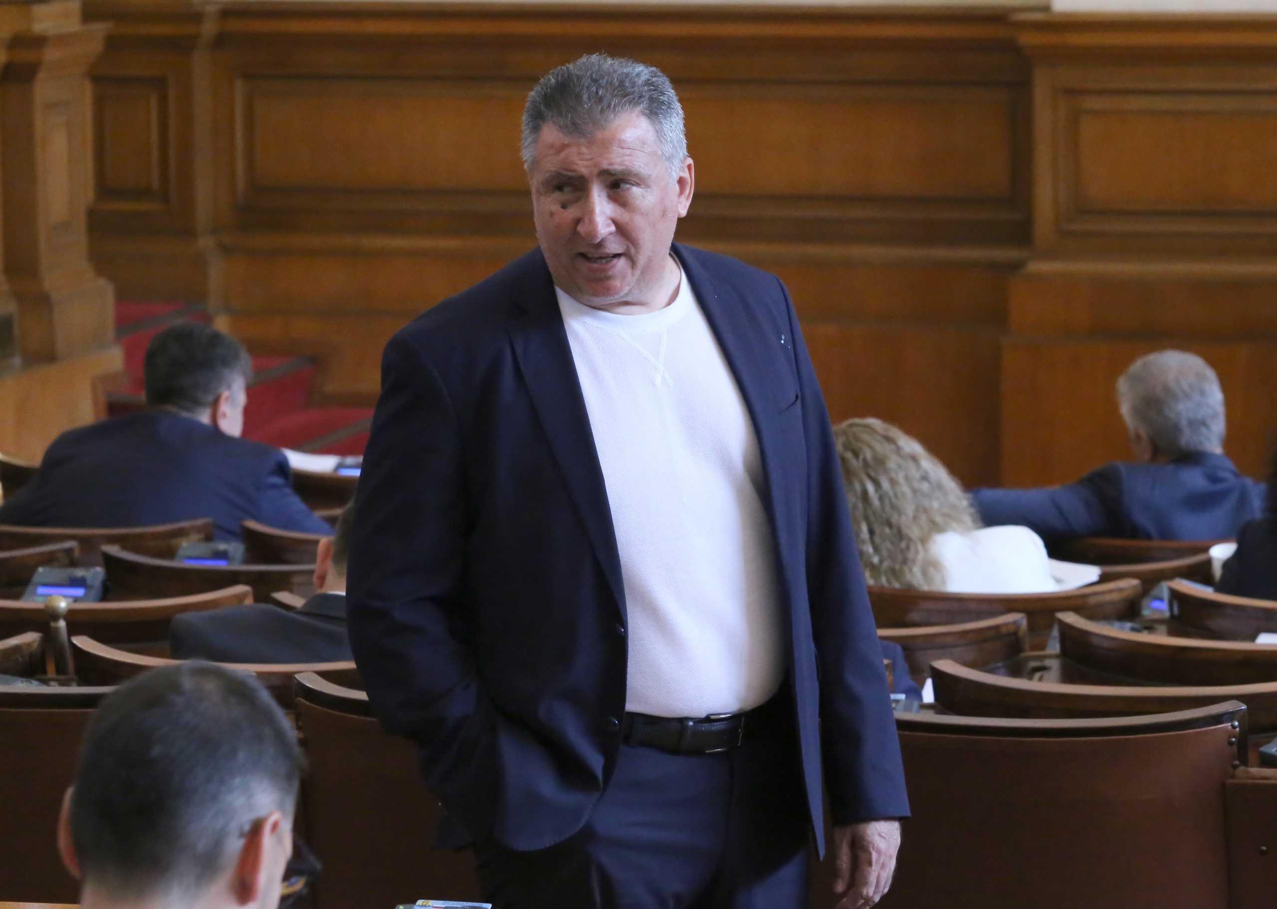 Парламент Светлин Стоянов