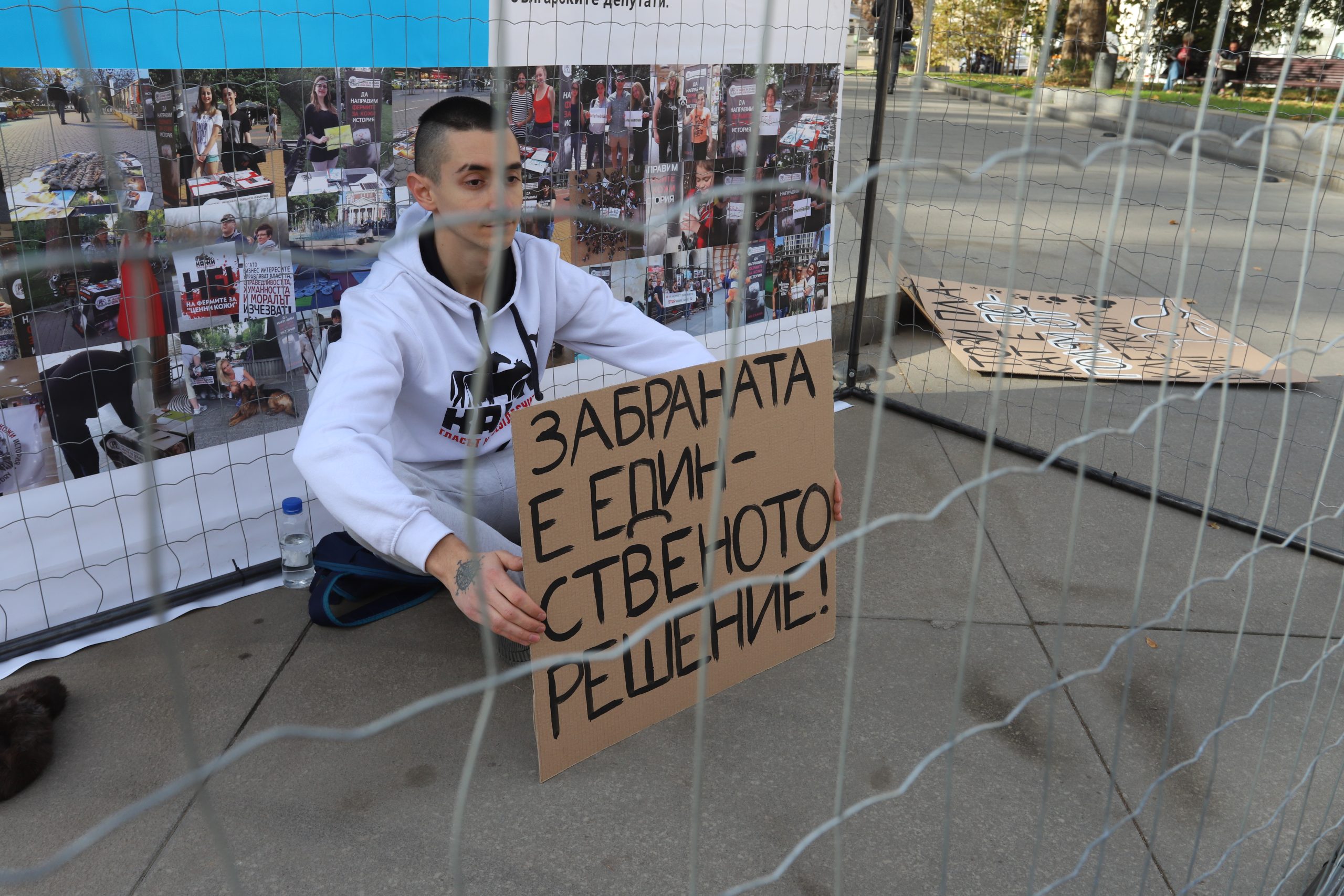 Протест срещу фермите за норки
