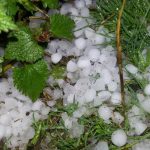 градушка застраховка