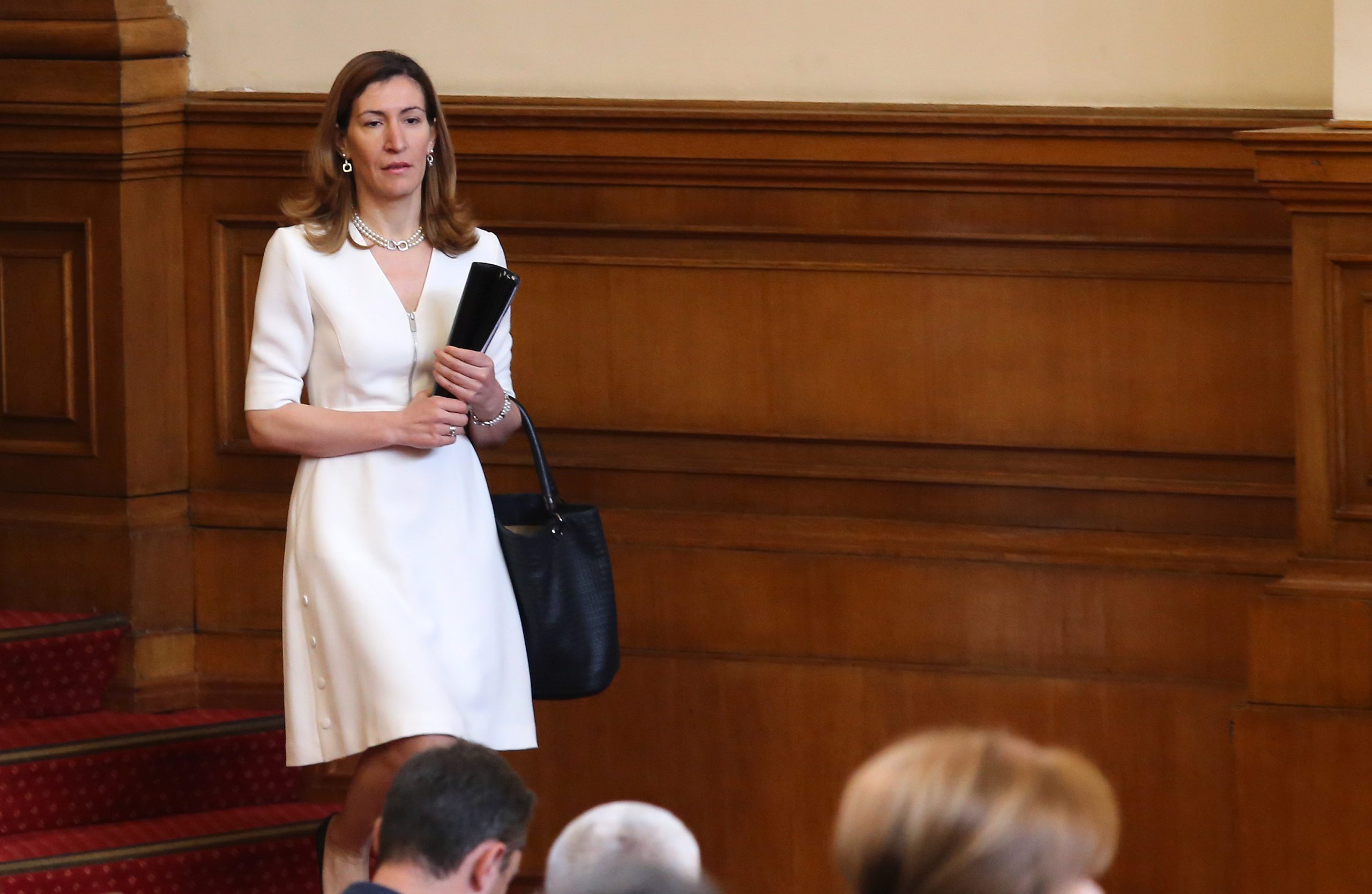 Парламент Николина Ангелкова