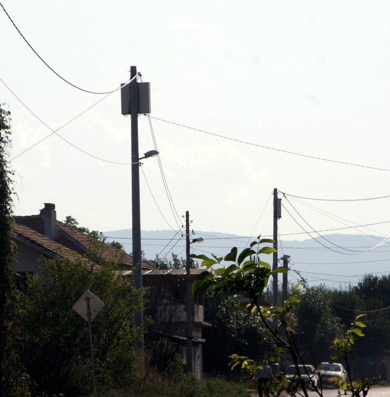 Migration Image