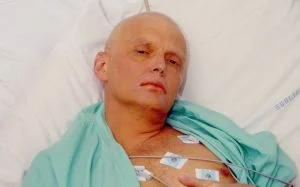 литвиненко