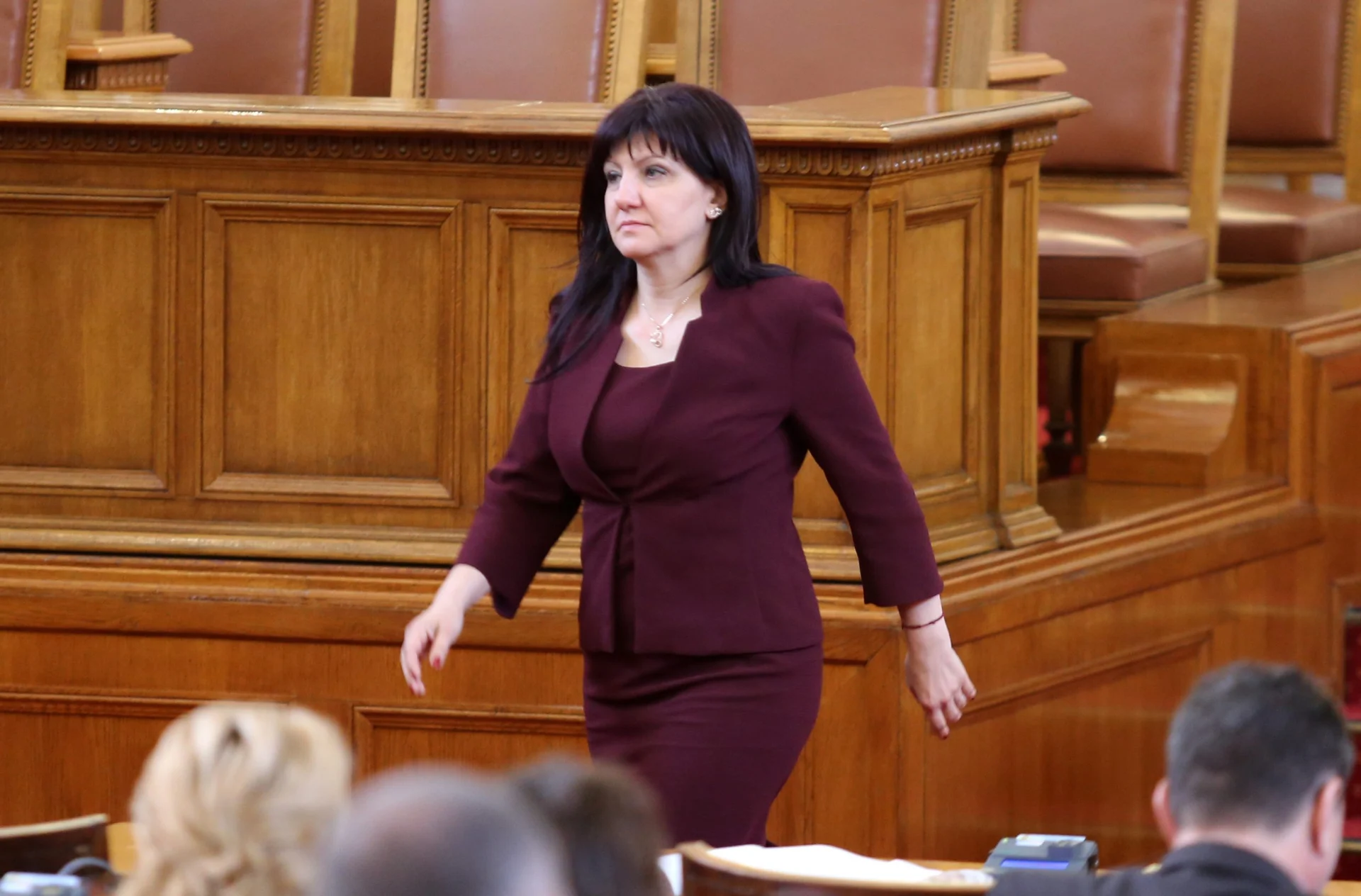 Парламент Цвета Караянчева