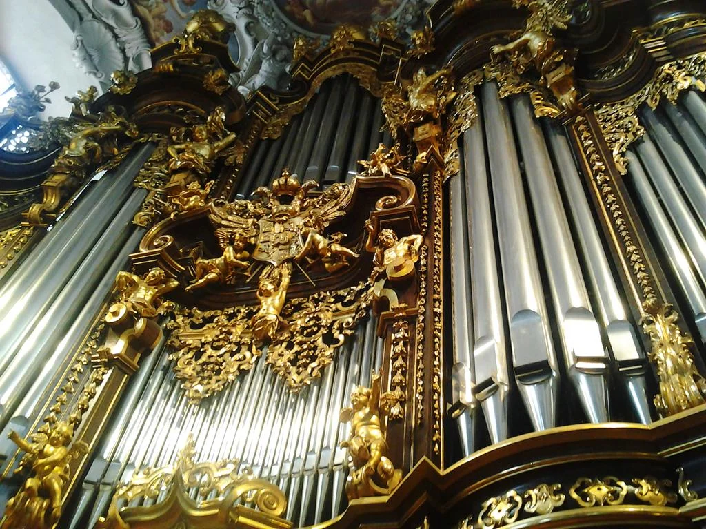 орган