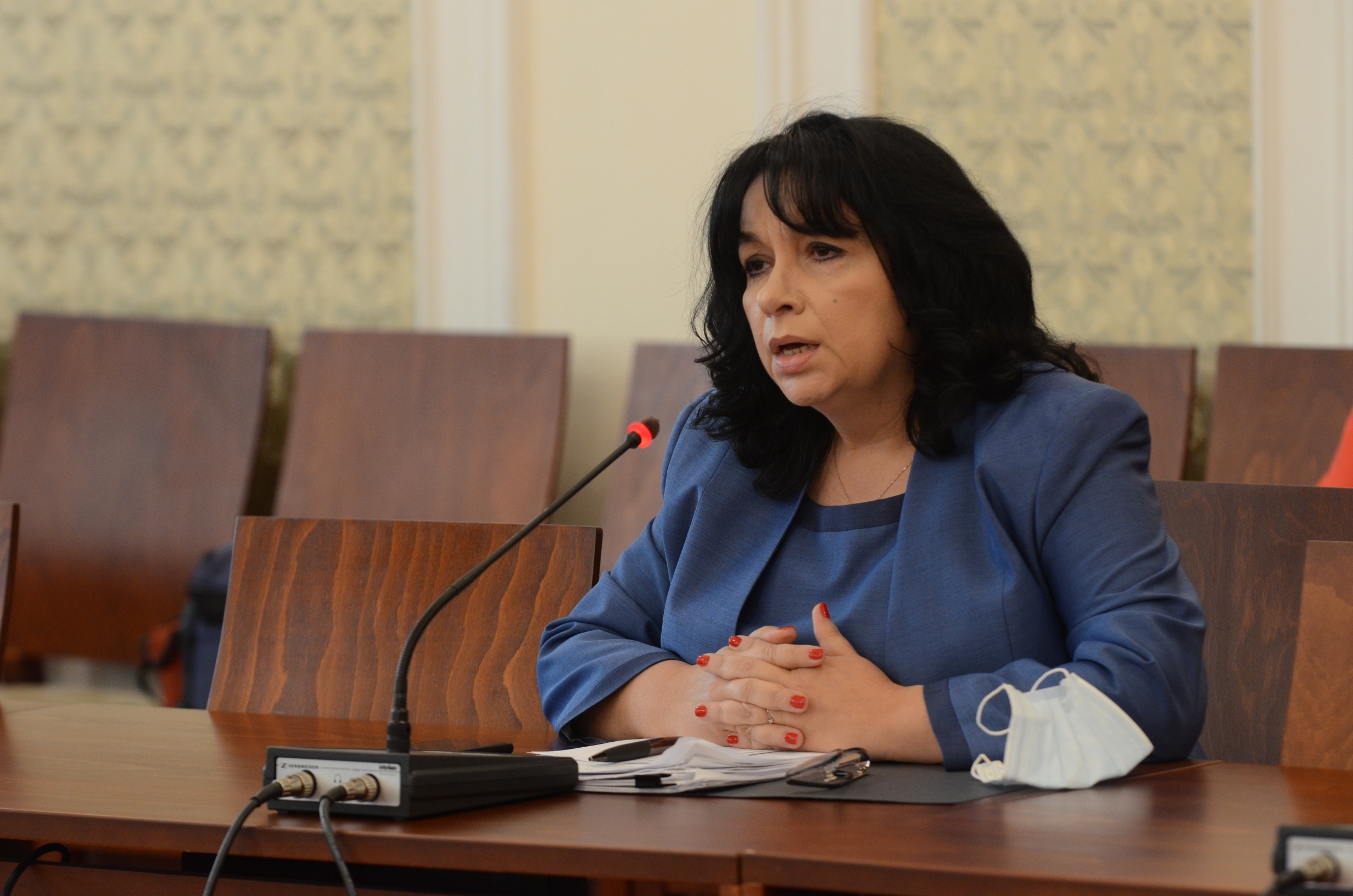 Комисия по енергетика Теменужка Петкова