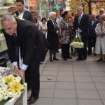 плоча соколов