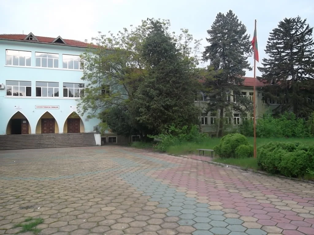 гимназия садово
