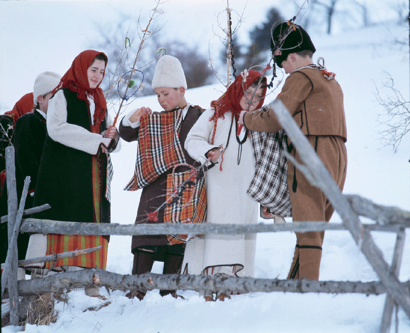 сурвакари
