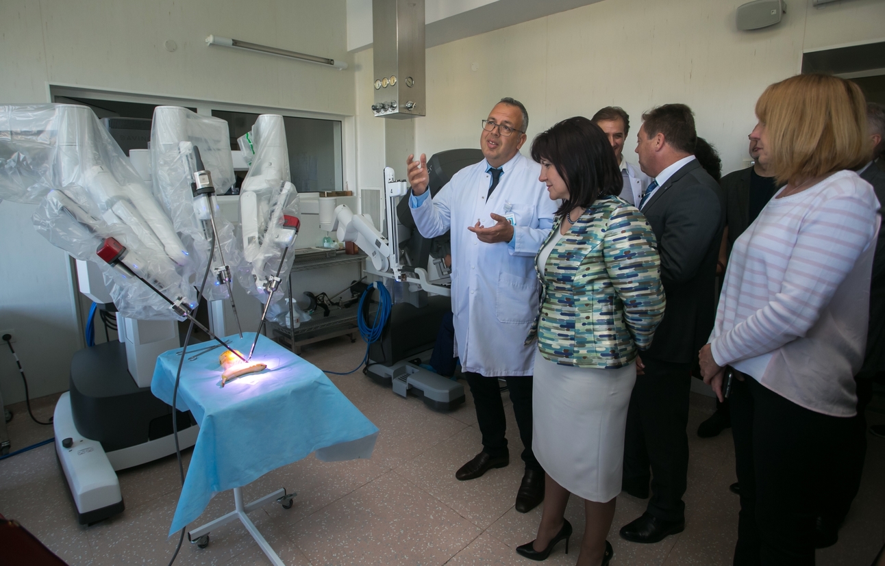 майчин дом робот