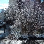 Сняг