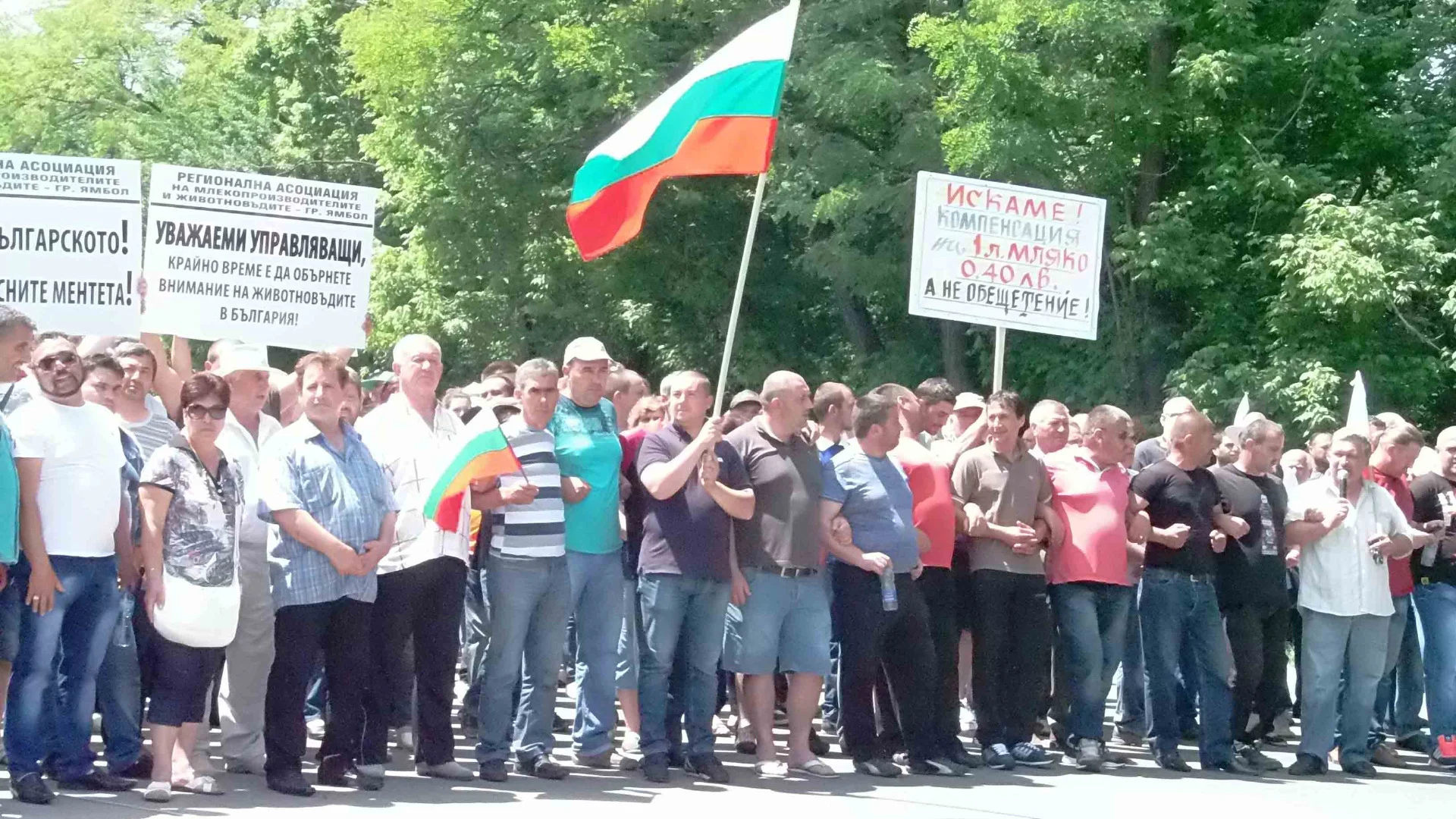 протест животонвъди