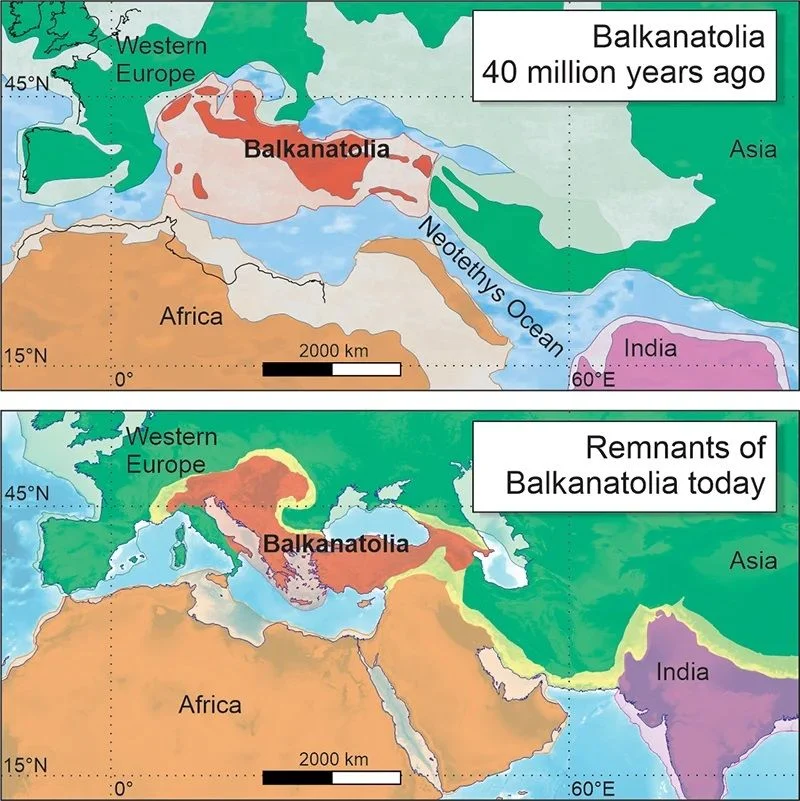 Балкантолия