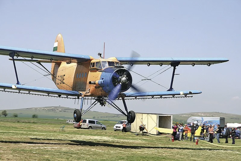 Migration Image