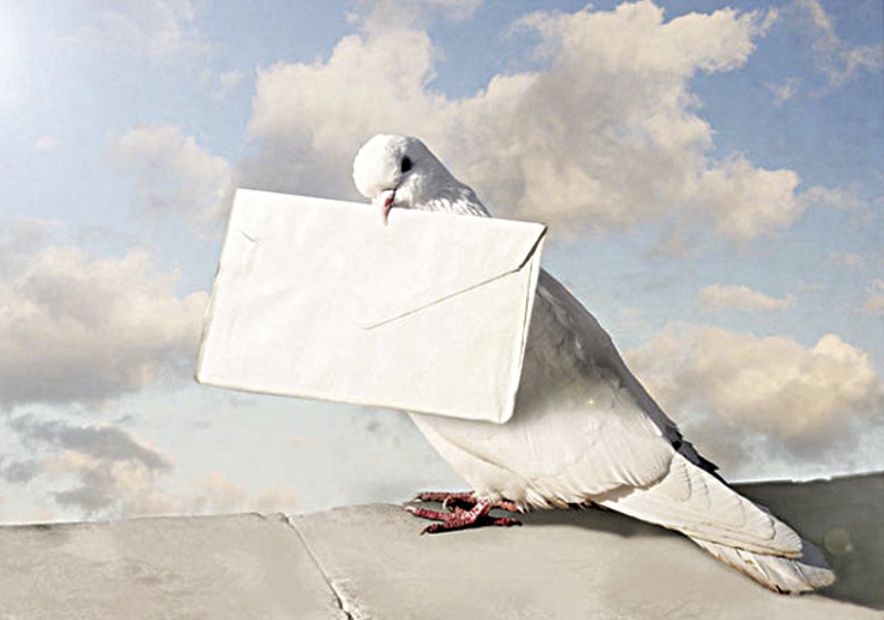 Migration Image