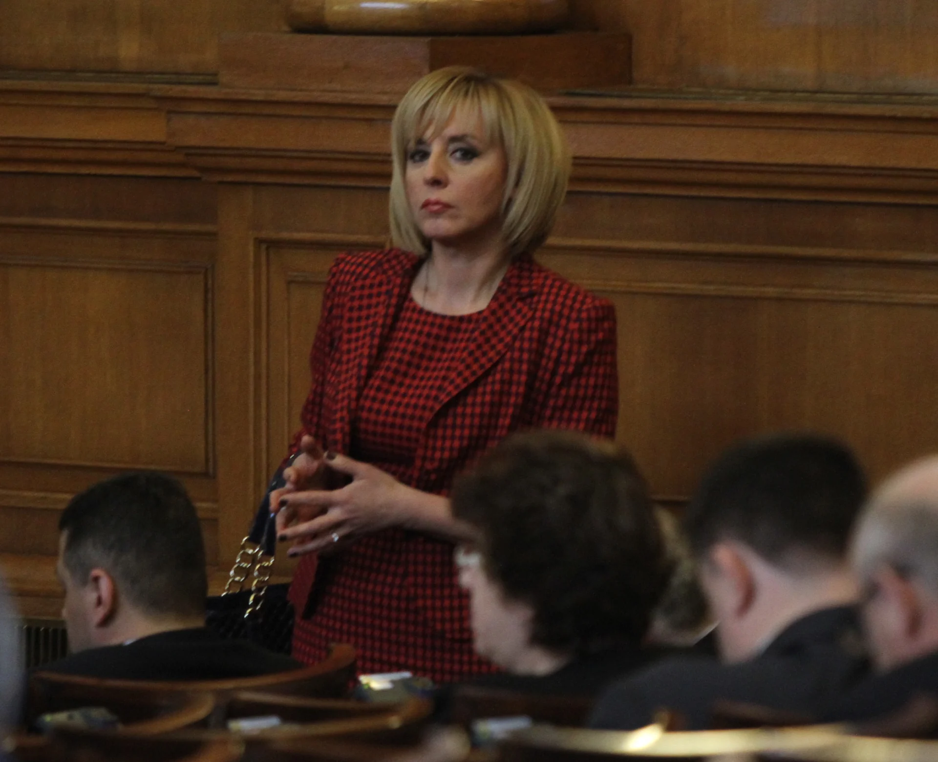 Парламент Мая Манолова