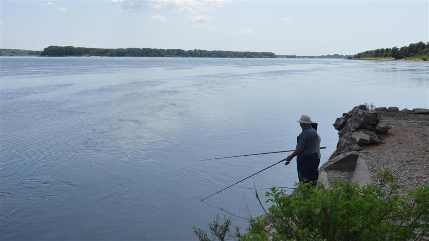 дунав