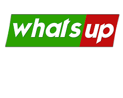 whats up