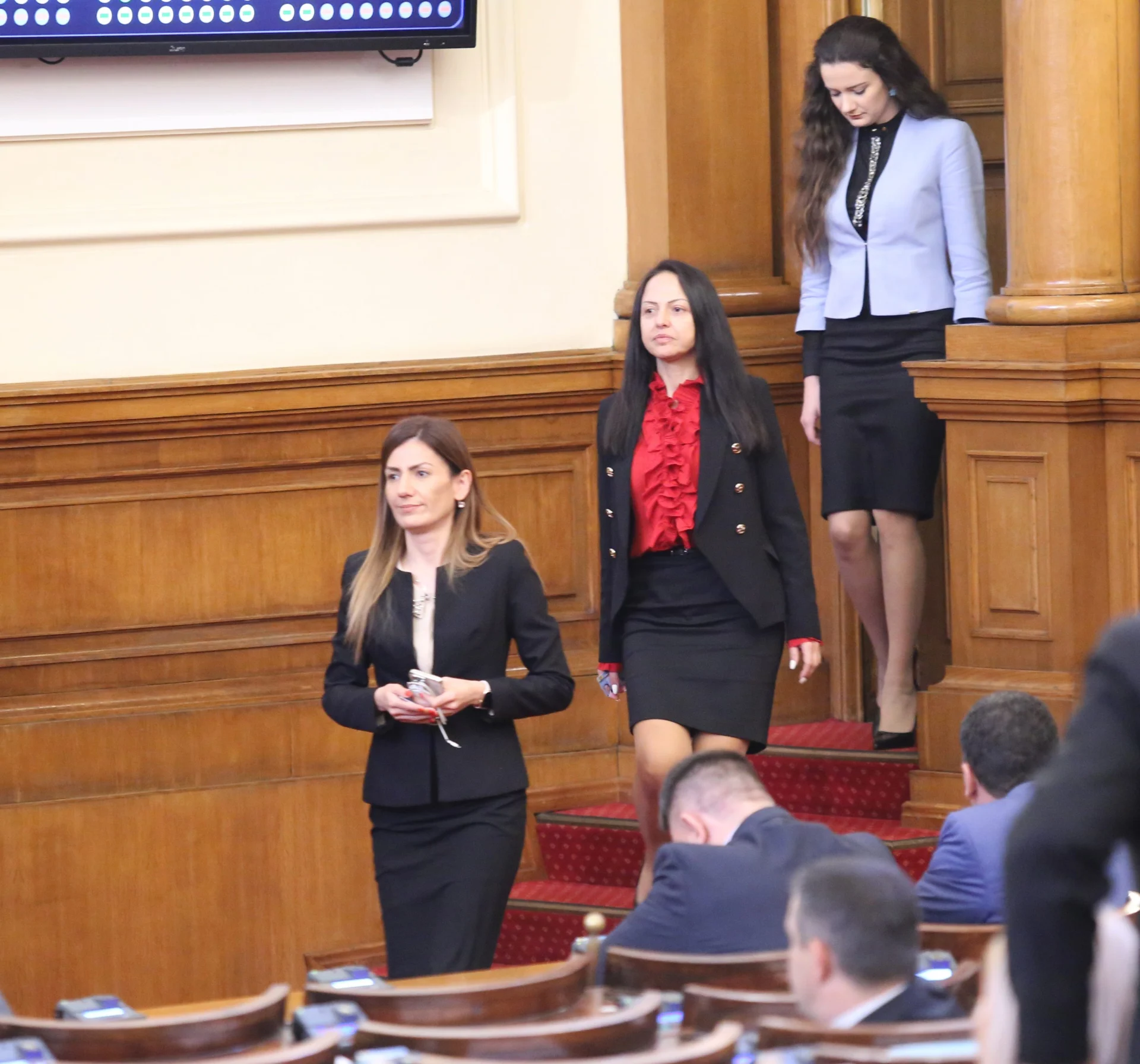 Парламент Ертен Анисова