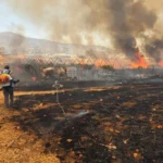 Виждат дим, грабват екипировката си и бягат