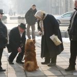 пенсионери