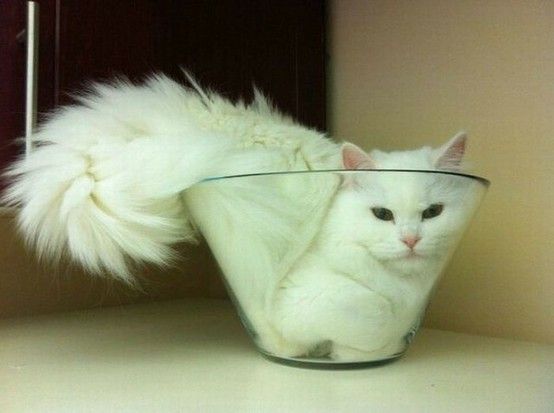 клм