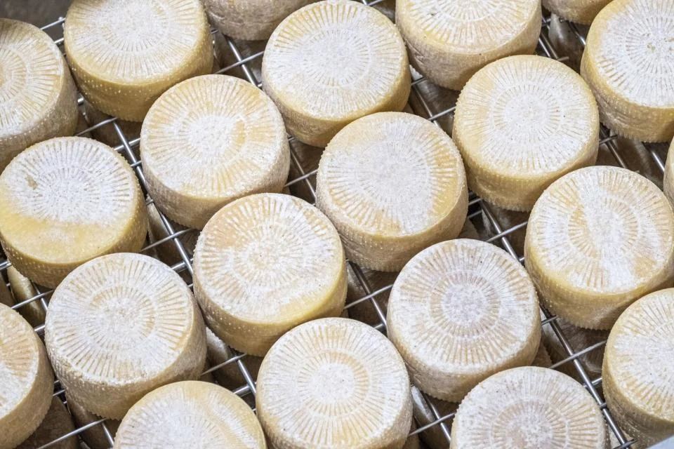 Китай разследва за субсидии внесените млечни продукти от ЕС