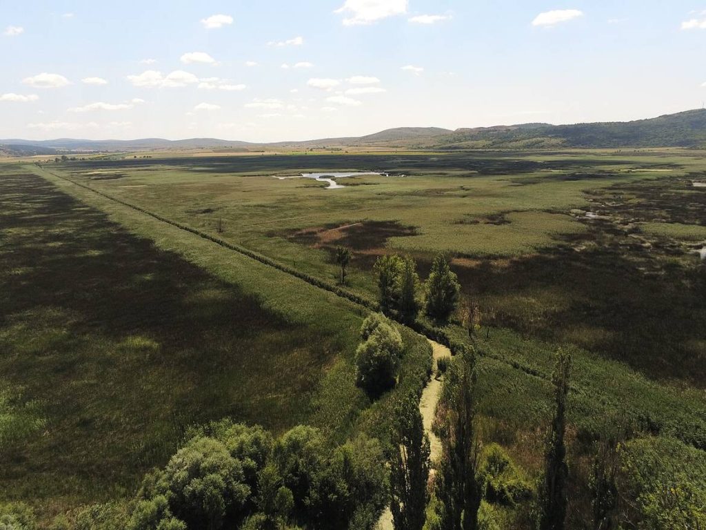 WWF, Драгоманското блато