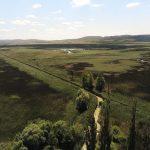 WWF, Драгоманското блато