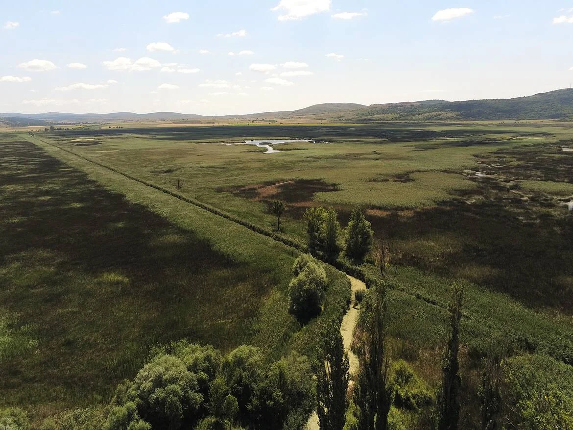 WWF, Драгоманското блато