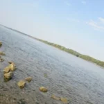 Дунав