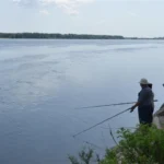 Дунав