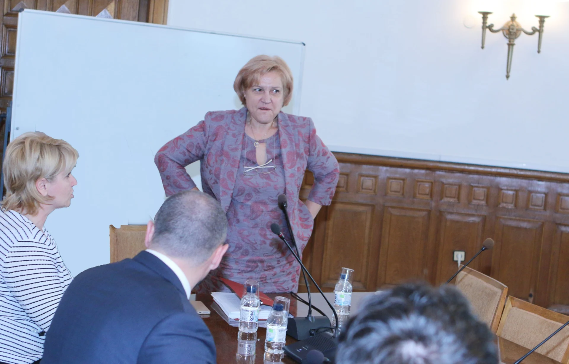 Парламент Комисия по бюджет и финанси Менда Стоянова