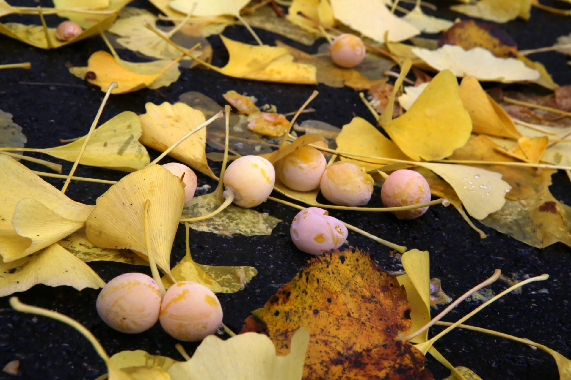 есен