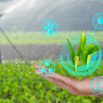 иновации земеделие