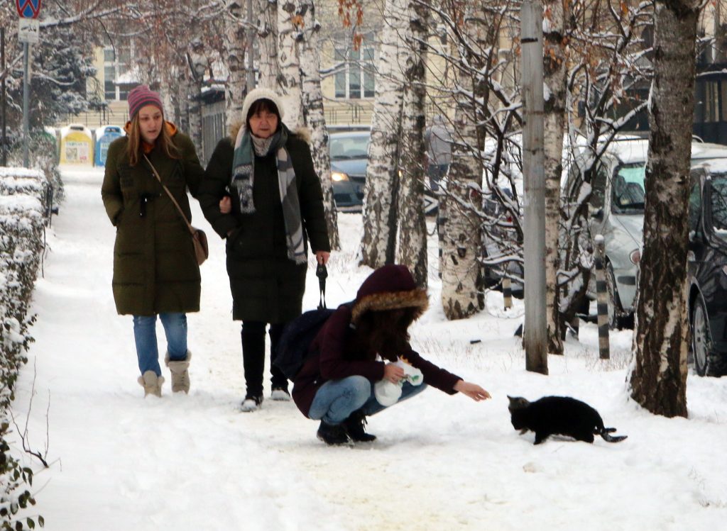 София сняг Граф Игнатиев