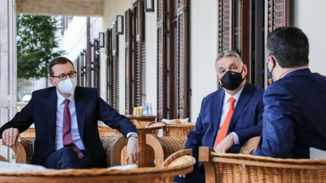 салвини