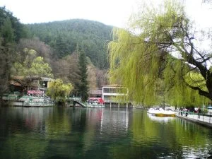 Клептуза
