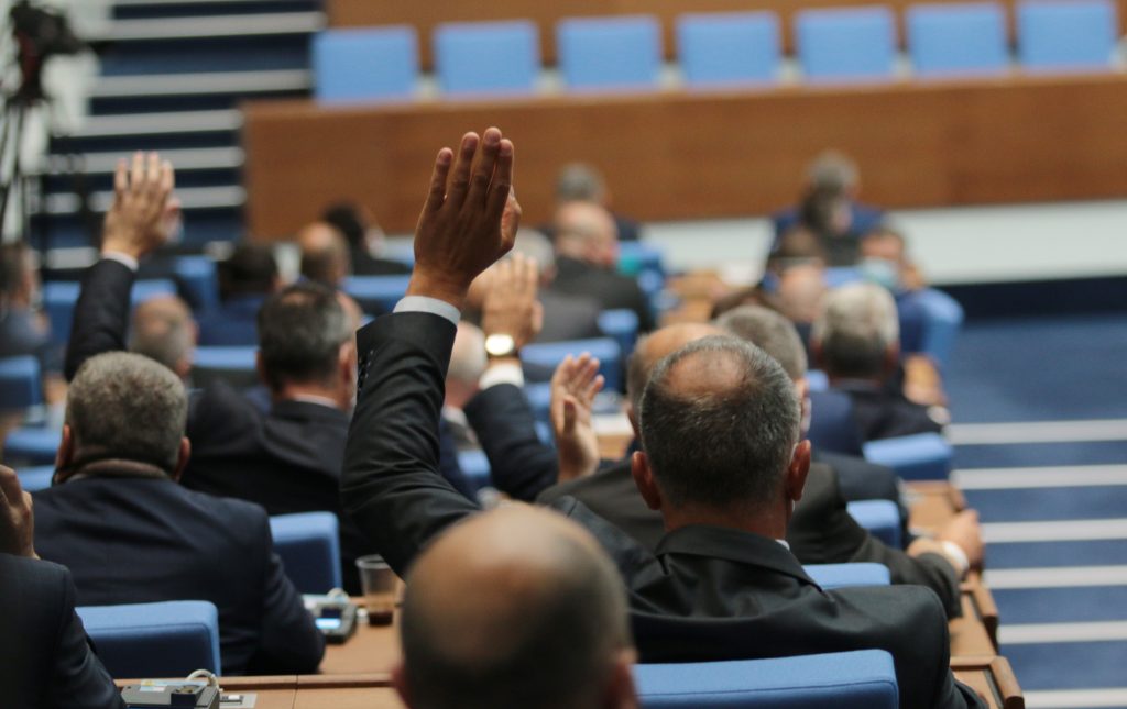 декларация за неучастие на български въоръжени сили, Парламент депутати гласуване гласуват