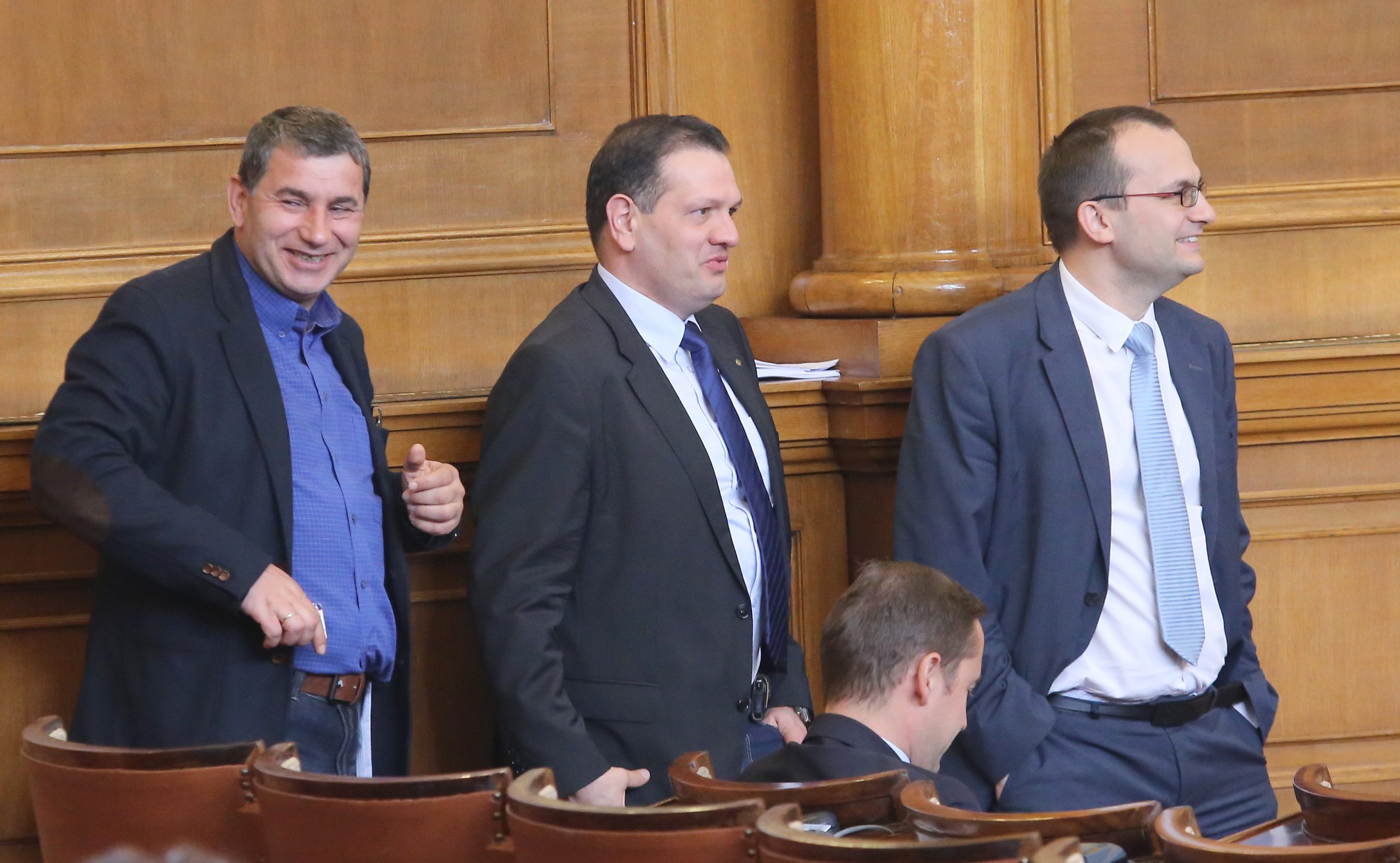 Парламент - Димитър Байрактаров
