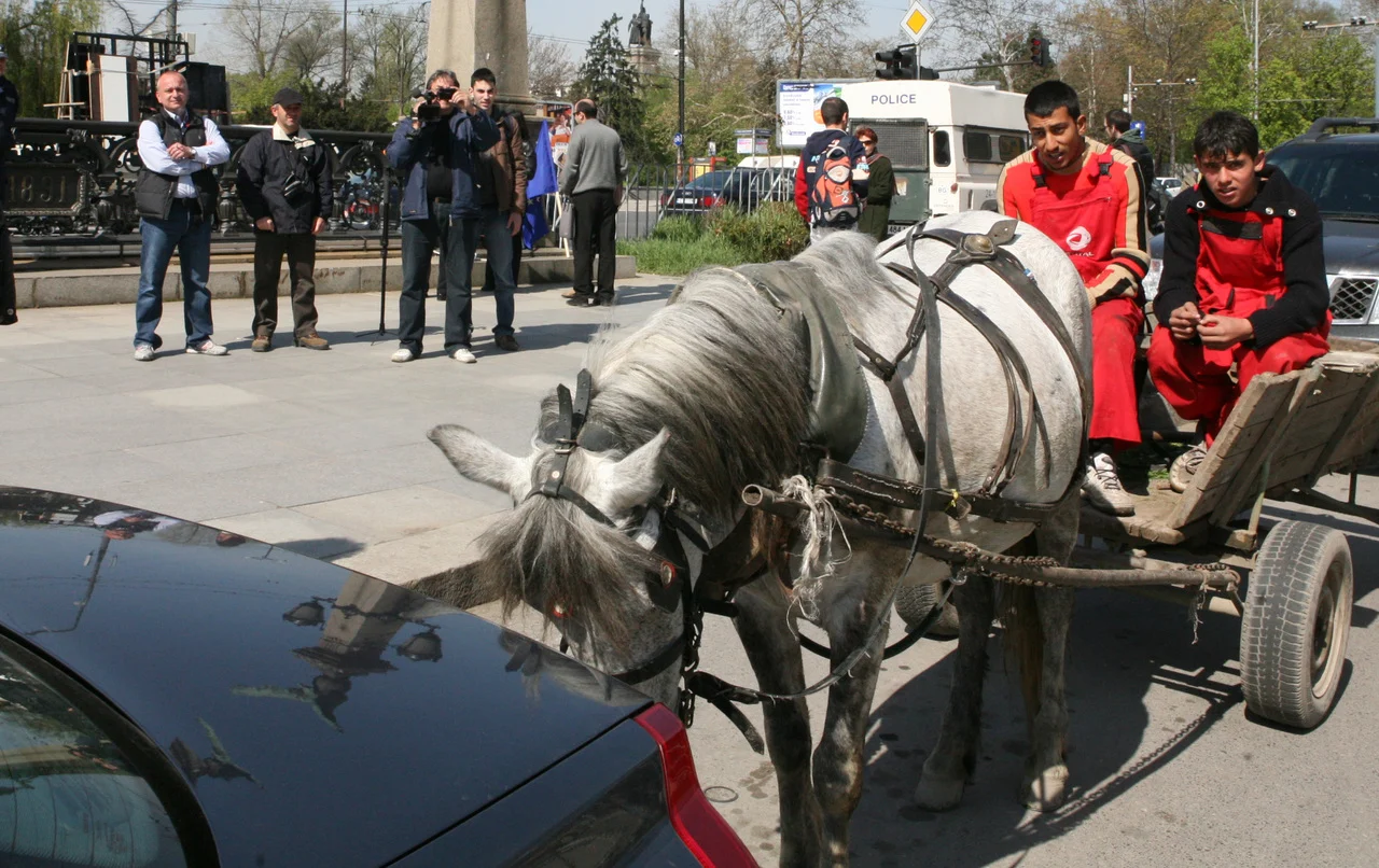 Орлов мост кон каруца цигани