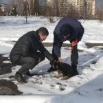 МВР шеф кучета