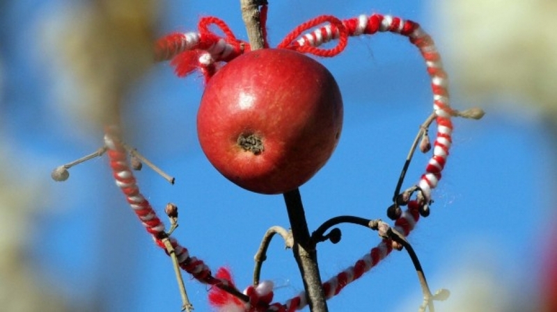 Migration Image