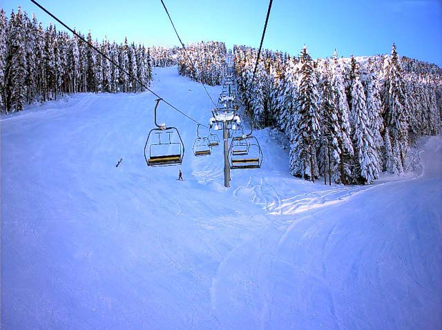ски