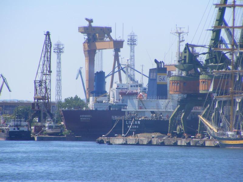 Migration Image
