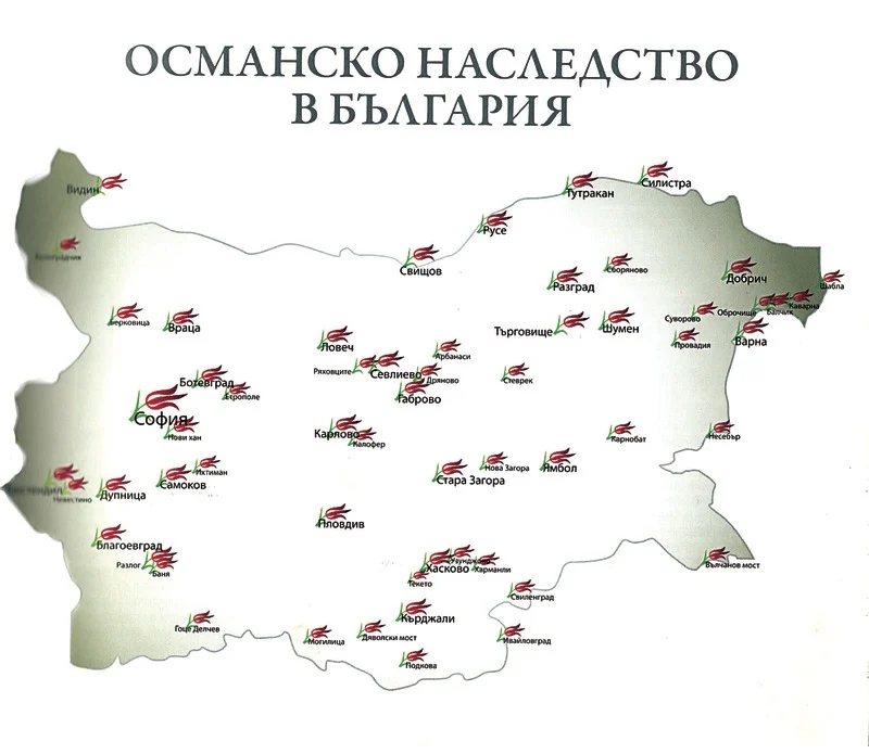 Migration Image