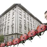 Migration Image