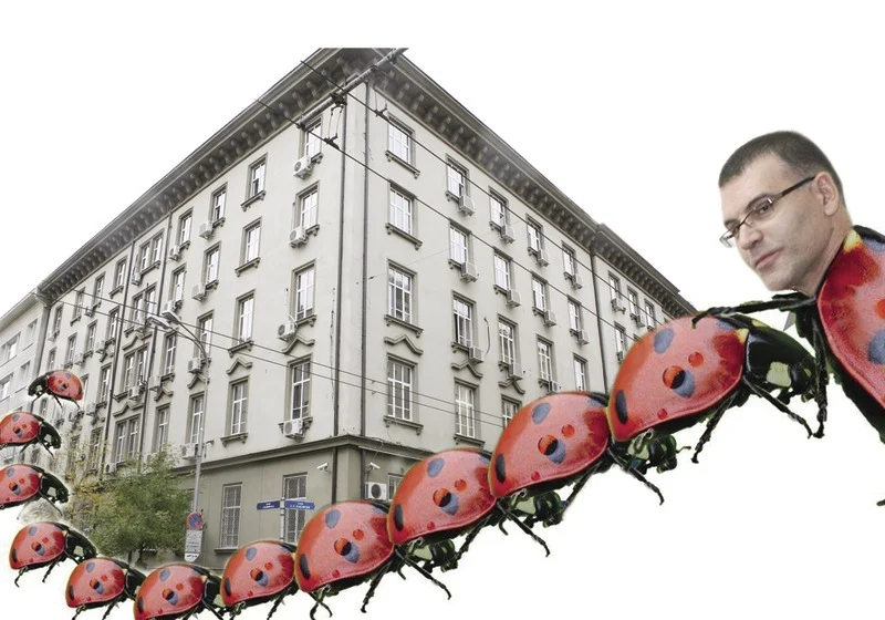 Migration Image