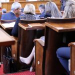 Парламент Цвета Галунова